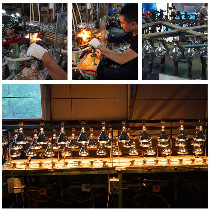 Factory of infrared light heating therapy lamp Factory of infrared light heating therapy lamp