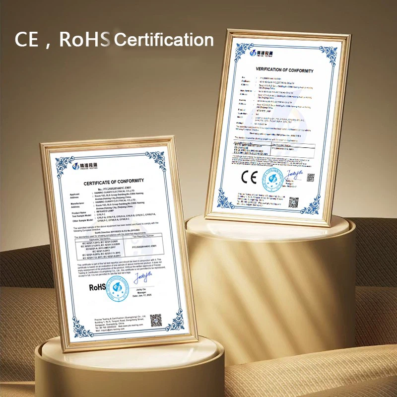 Certification of Infrared physiotherapy lamp Certification of Infrared physiotherapy lamp